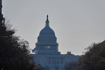 Spring in Washington DC, streets, Cherry Blossom, Flowers, Light, and photography (the USA)