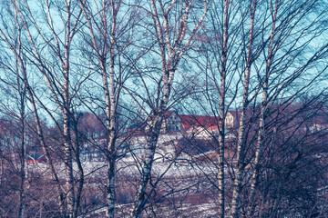 Cultural landscape of Toten, Norway, in spring.
