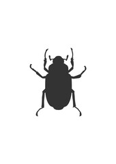 Vector hand drawn butterfly illustration design. insect vector design .