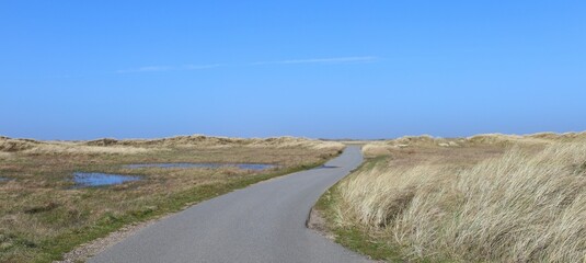 Road through landscape with sand dunes, Denmark