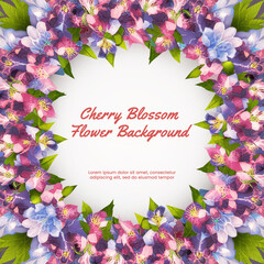 Cherry Blossom flower background design