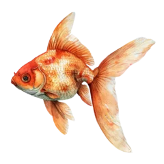 Fotobehang goldfish vector illustration in watercolour style © mutia