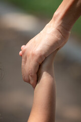 Family holding children hands walking through a park together 