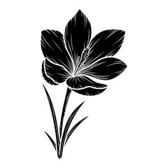 Vector crocus flower silhouette illustration, saffron floral silhouette drawing. Wildflower sketch. Hand drawn botanical outline art. Isolated design element for background, pattern, logo.