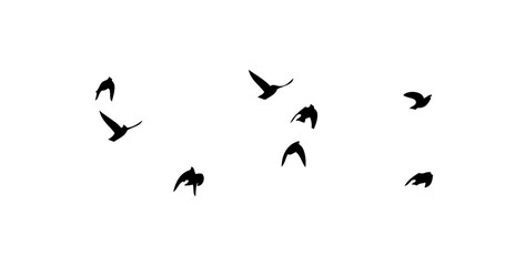 Flying birds silhouette flock. hand drawing. Not AI, Vector illustration