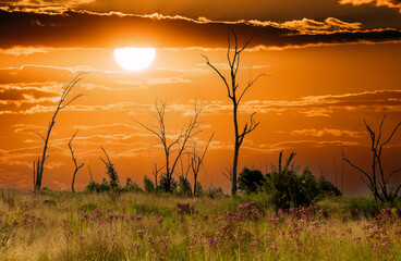 Sunset over the Rietvlei Nature Reserve, Gauteng, South Africa.