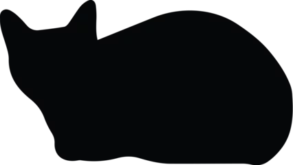 Rolgordijnen Stylish , fashionable and awesome cat and mom typography art and illustrator, Print ready vector handwritten phrase cat T shirt hand lettered calligraphic design. Cat Vector illustration bundle. © Hamja'sPortfolio