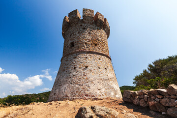 Campanella tower on a sunny day. One of Genoese towers of Corsica - obrazy, fototapety, plakaty