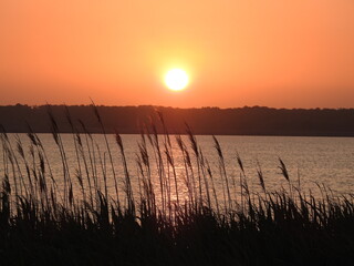 A fiery sunset over the wetlands of the Edwin B. Forsythe National Wildlife Refuge, Galloway, New...