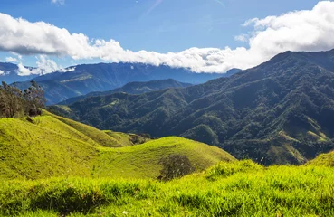 Deurstickers Green hills in Colombia © Galyna Andrushko