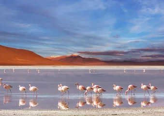 Deurstickers Lake in Bolivia © Galyna Andrushko