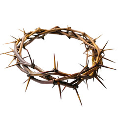 still life of crown of thorns