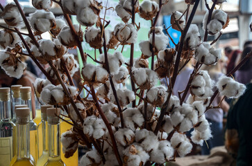 Close-up view of fluffy white cotton bolls in a market setting. Natural beauty of cotton plants