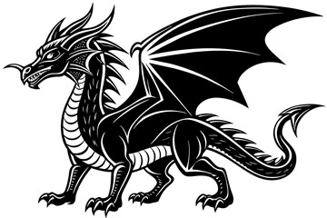 Dragon  Vector Illustration