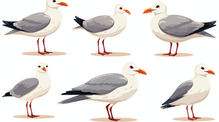 Beautiful seagull set gray and white sea bird in di - obrazy, fototapety, plakaty