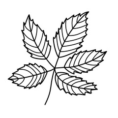Fototapeta premium Tree leaf contour drawing isolated cutout black and white vector clipart illustration. Autumn leaves line art design element. Nature pictogram, logo or icon. Tree foilage simple cartoon doodle.