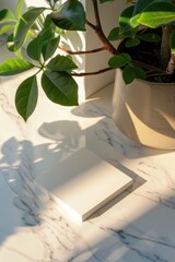 A plant placed on a table next to a notepad. Suitable for office and workspace concepts