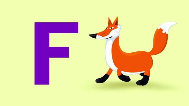 F letter big color like fox cartoon animation. Animal walking loop. Educational serie with bold style character for children. Good for education movies, presentation, learning alphabet, etc...