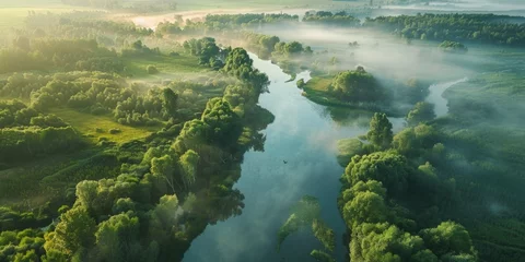 Abwaschbare Fototapete Serene river flowing through vibrant green forest, perfect for nature themes © Fotograf