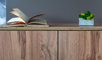 Cabinet furniture. Open book and greens in a pot on closet shelf close-up on neutral background
