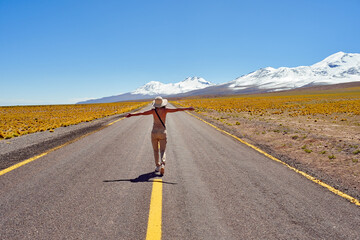 rear view young woman traveler adventurer walking on the road of the altiplano in Los Flamencos...