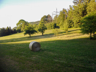 Hay bale in the rural landscape in germany
