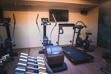 Modern home gym with dumbbells, cardio machines, treadmill, TV, speaker, wood flooring, soft lighting, and forest mural. Ideal for a private and focused workout environment.