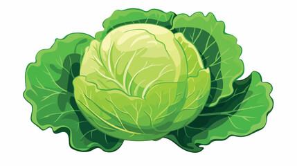 Cabbage with big bright green leaves. Fresh and hea