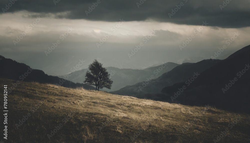 Poster mountains meadow