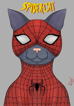 Spider-Cat
