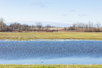 Flooded fields in the early spring with a blue sky. 
