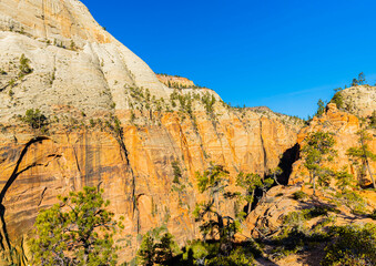 Fototapeta na wymiar Observation Point From West Rim Trail, Zion National Park, Utah, USA