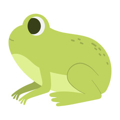 Frog animal vector illustration