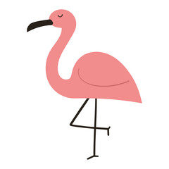 Exotic flamingo vector animal illustration