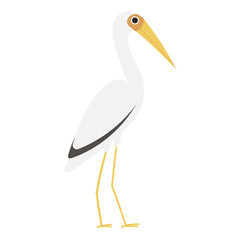 Pelican bird vector illustration