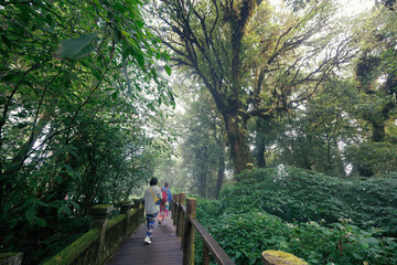 Obraz premium spots in Chiang Mai, Thailand.