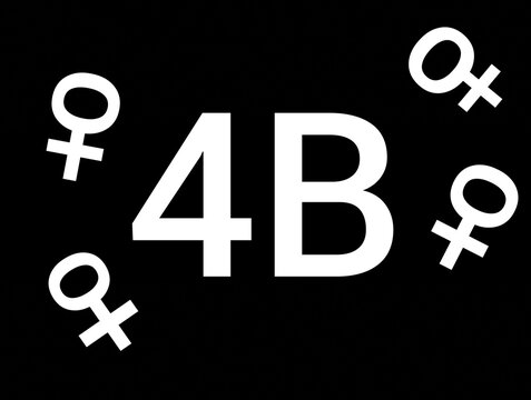 Number and letter 4B on a black background