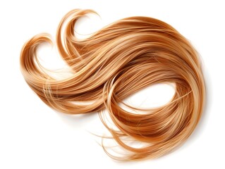 Hair/wig shape  isolated on a white background