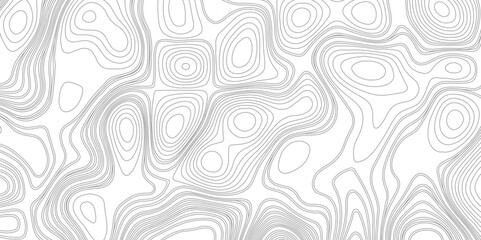 Topographic map backdrop. Vector contour topographic map background. Topography and geography map grid abstract backdrop. Business concept. Vector illustration