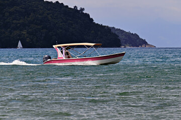 tourist boat with a canopy, speedily crossing the blue waters of the sea.