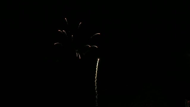 Slow motion fireworks in the black night sky. Festive salute