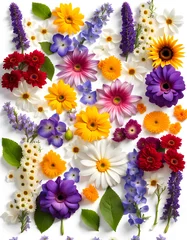Raamstickers  Portrait image of scattered wet pansy gerbera carnation poppy sunflower and periwinkle flowers © Spring of Sheba