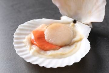 Fresh raw scallop with shell on grey table, closeup
