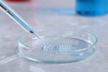 Glass pipette and petri dish with liquid on grey marble table, closeup