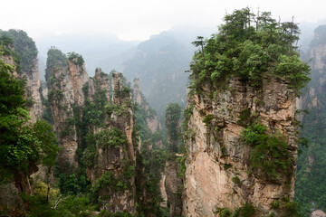 Sandstone pillars rise above the lush forest of Zhangjiajie National Forest Park in Wulingyuan Scenic Area, China.