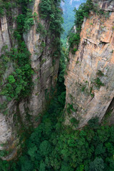 Sandstone pillars rise above the lush forest of Zhangjiajie National Forest Park in Wulingyuan Scenic Area, China.