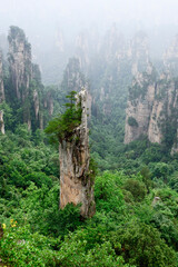 Sandstone pillars rise above the lush forest of Zhangjiajie National Forest Park in Wulingyuan Scenic Area, China.