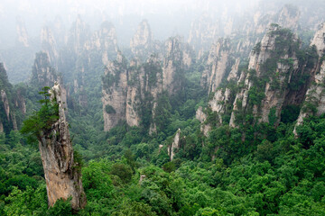 Sandstone pillars rise above the lush forest of Zhangjiajie National Forest Park in Wulingyuan Scenic Area, China.