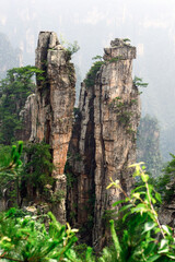 Sandstone pillars rise above the lush forest of Zhangjiajie National Forest Park in Wulingyuan Scenic Area, China.