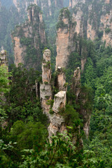 Sandstone pillars rise above the lush forest of Zhangjiajie National Forest Park in Wulingyuan Scenic Area, China.